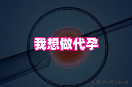 国际助孕网 4